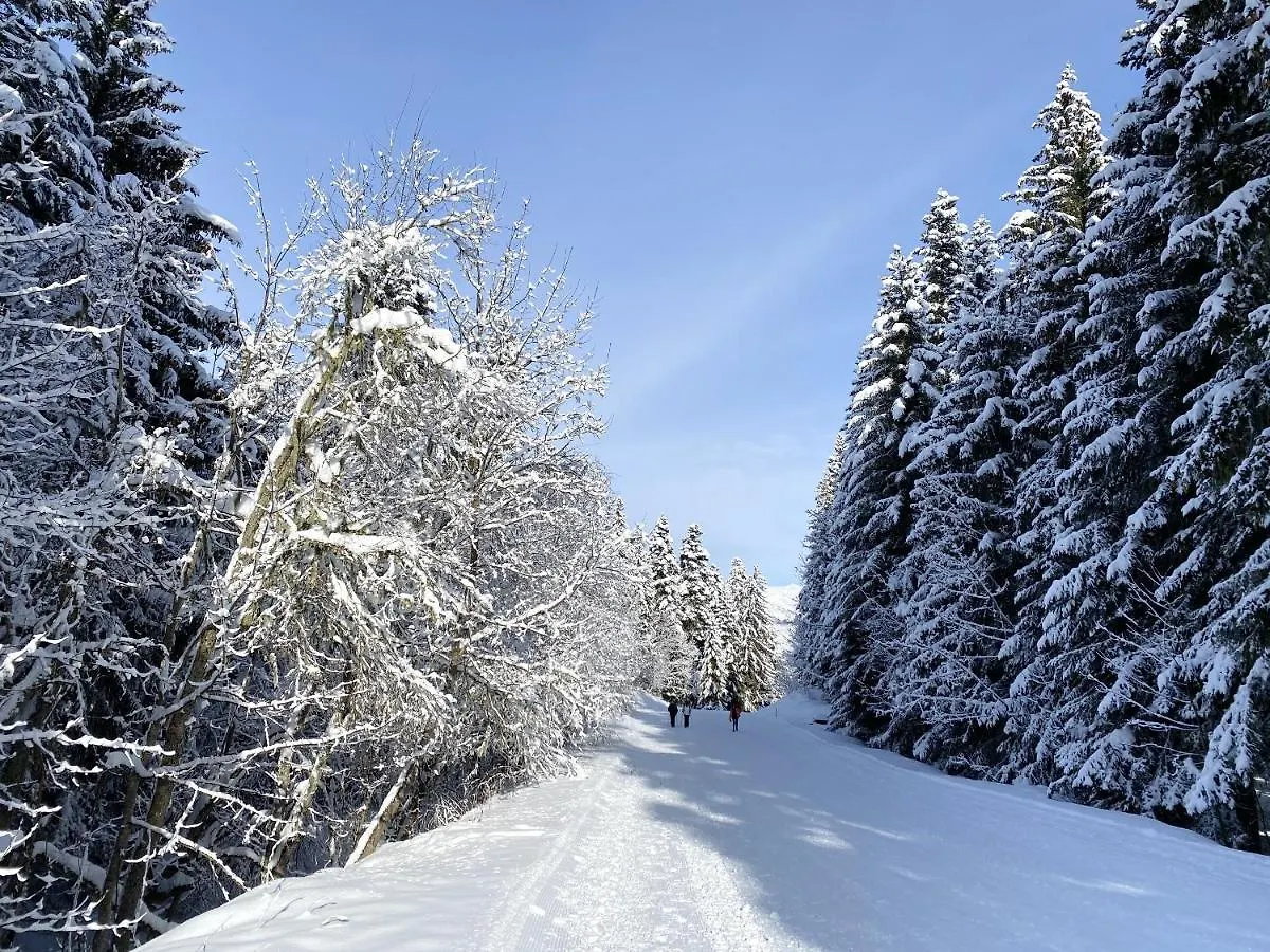 Chalet Chaleureux Avec Vue Sur Les Montagnes De La Lechere