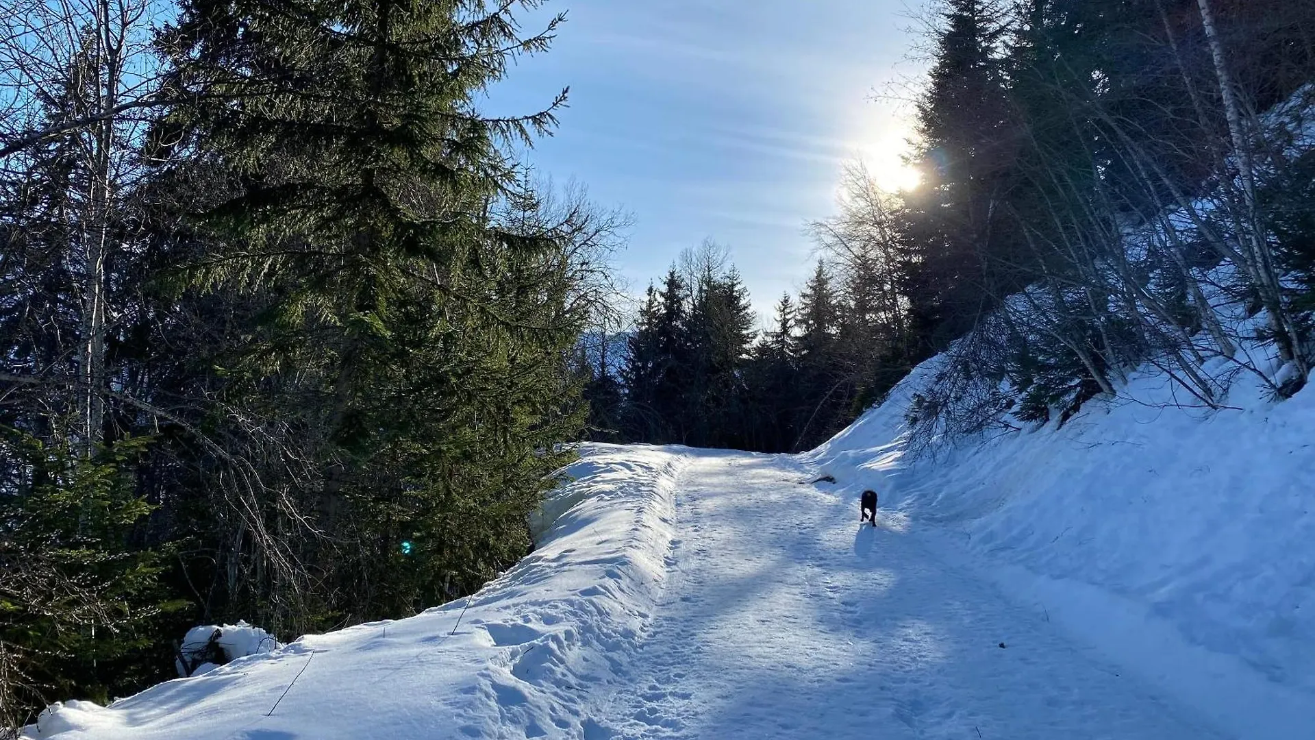 Chalet Chaleureux Avec Vue Sur Les Montagnes De La Lechere